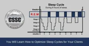chart showing REM sleep cycles
