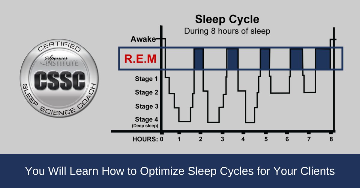 chart showing REM sleep cycles