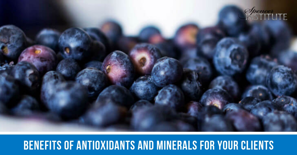 Benefits of Antioxidants and Minerals for Your Clients