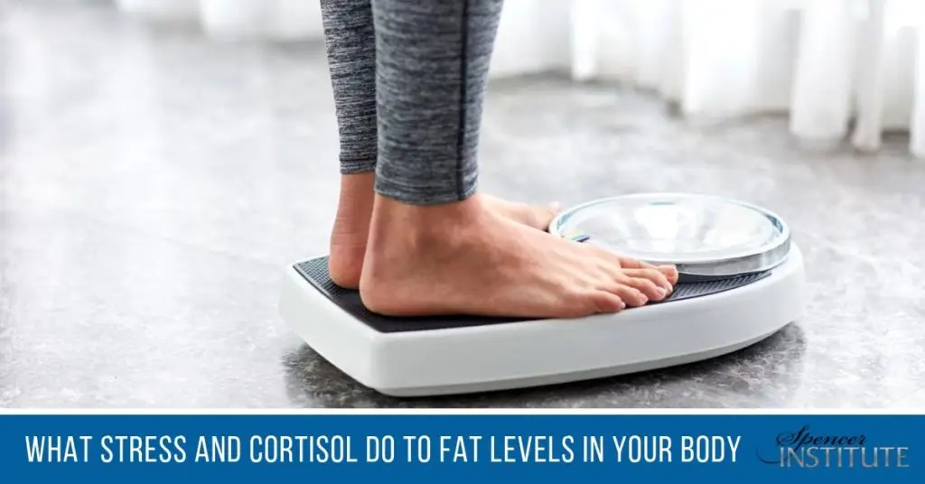 cortisol levels and body fat storage