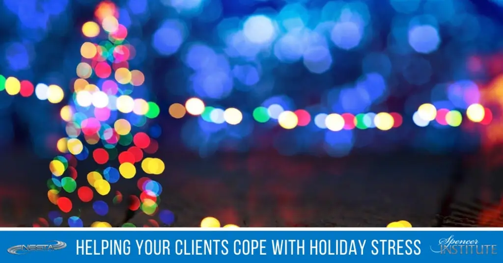 what causes holiday stress
