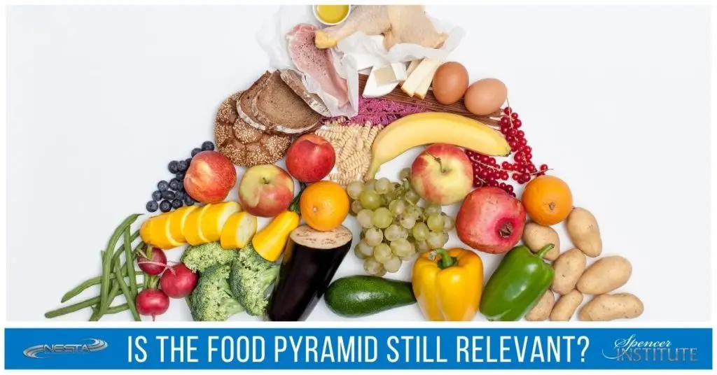 food pyramid vs holistic nutrition