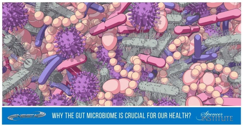gut-microbiome-health-tips