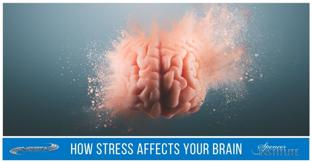 how-stress-affects-your-brain