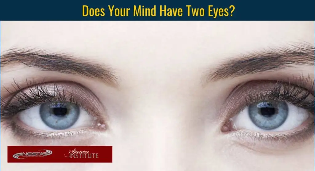 how does each hemisphere see images