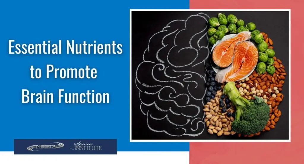 How food is related to brain health