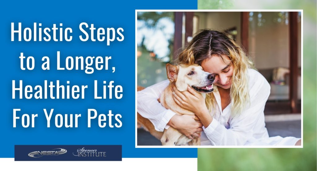 how-to-improve-the-quality-of-your-pets-life