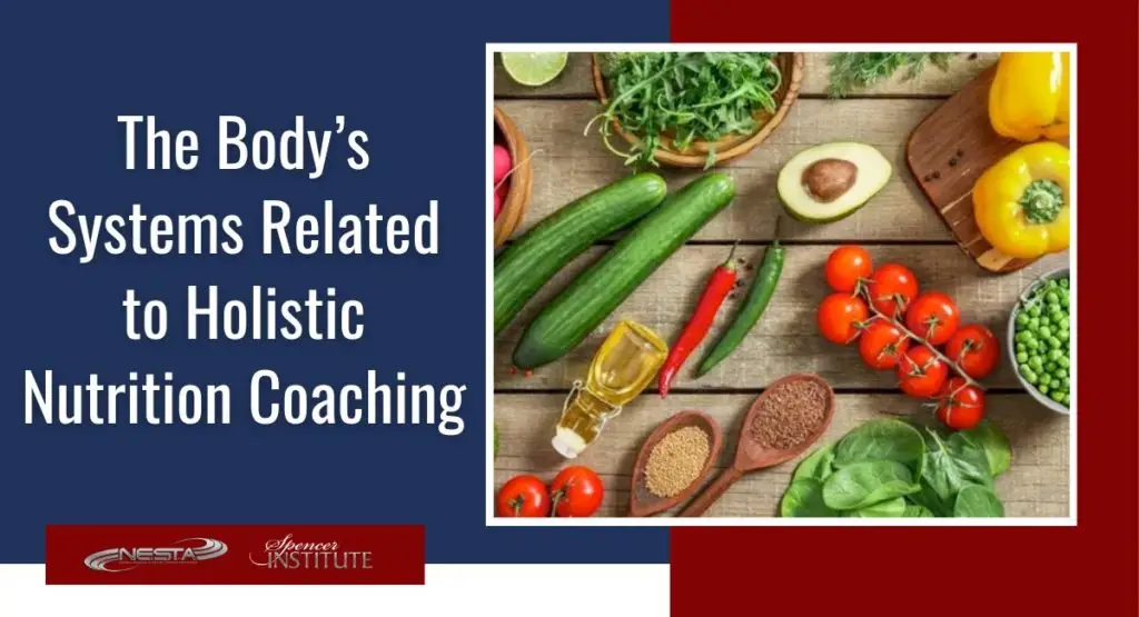 definition of holisitc nutrition