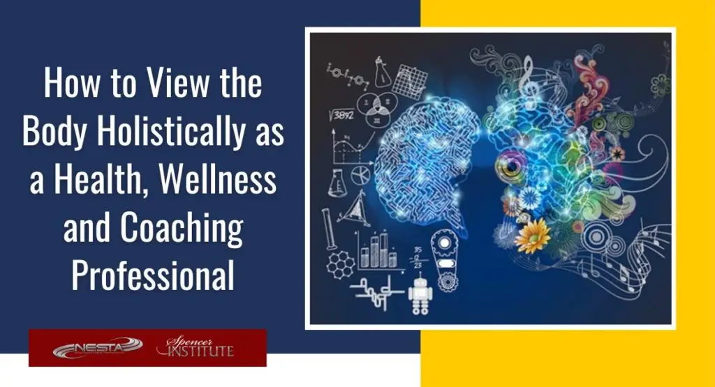 holistic health vs traditional medicine