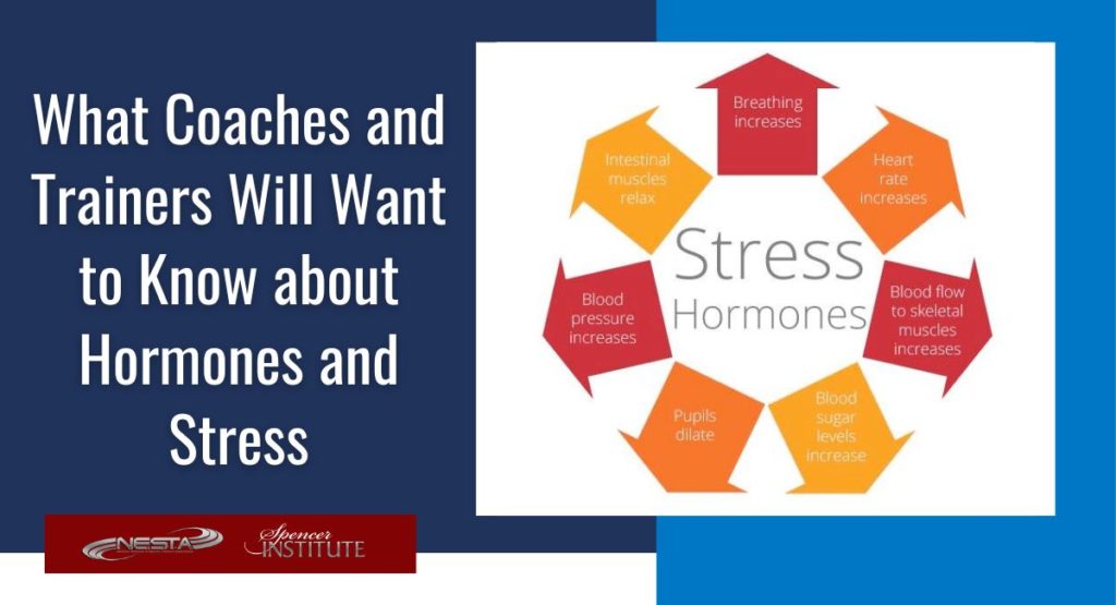 hormones stress response