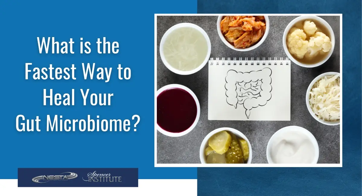 how to increase good bacteria in gut naturally