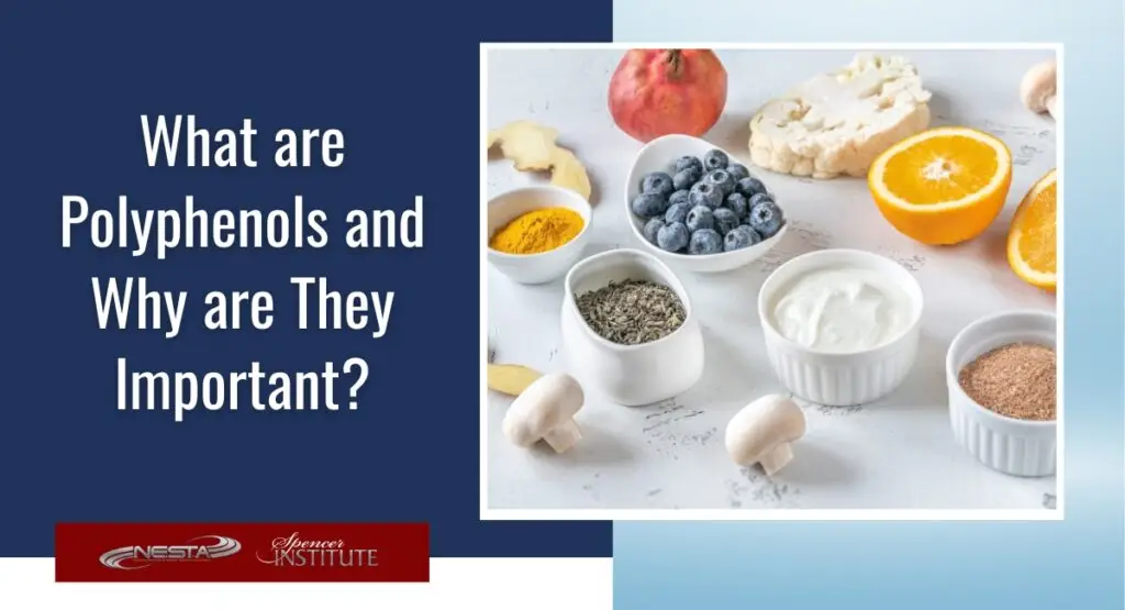 natural sources of polyphenols