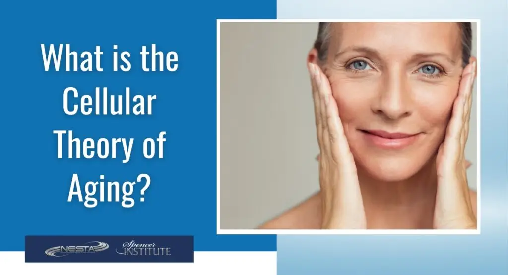 cellular health and human longevity