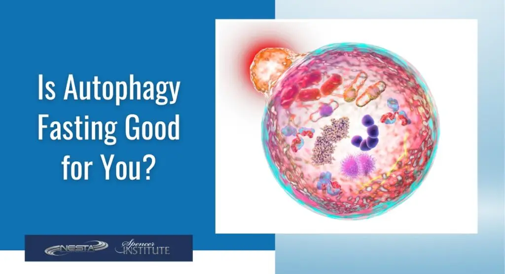 autophagy fasting and longevity