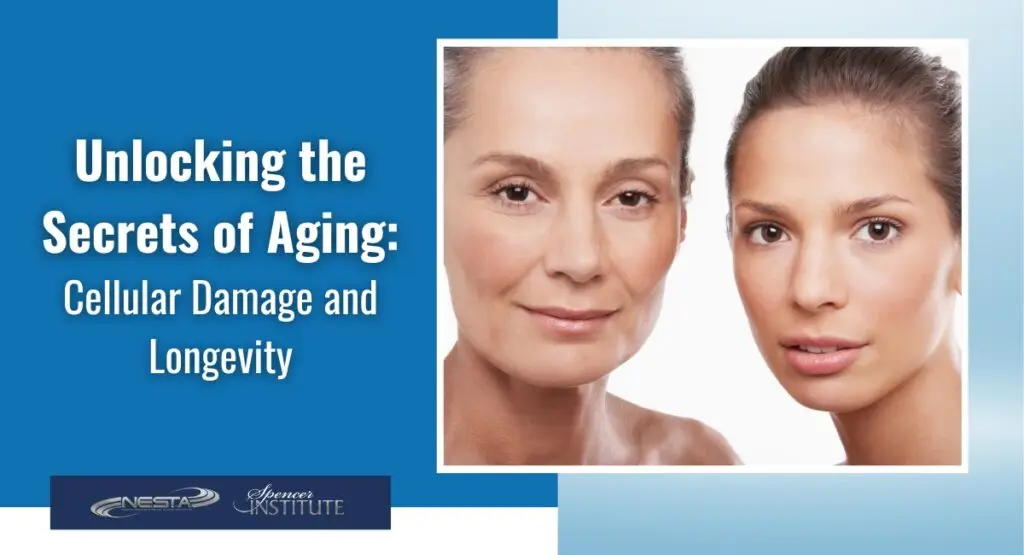 Cellular Damage, Aging and Longevity