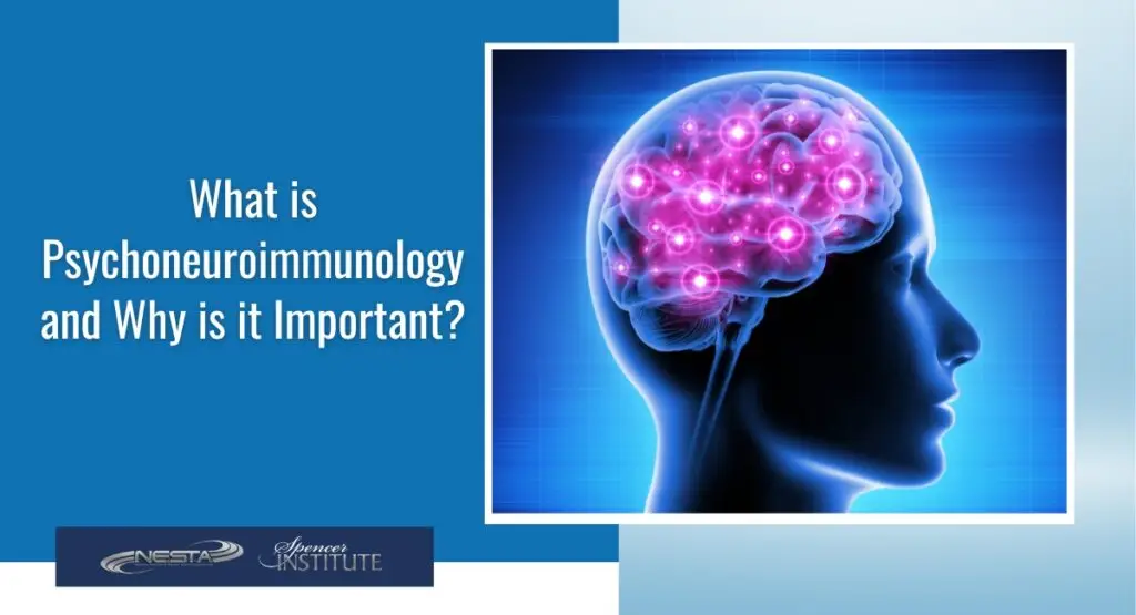 what is Psychoneuroimmunology?